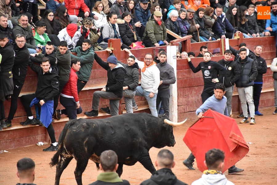 Toro del Aguardiente Carnaval Ciudad Rodrigo