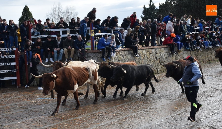 El ciclo de encierros se cierra con una rapidísima y limpia carrera