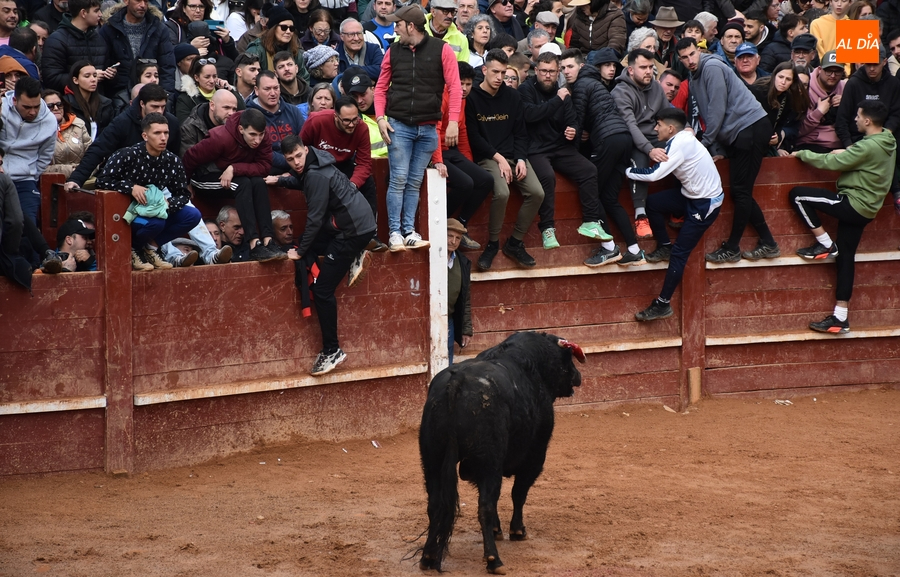 El PSOE reclama el regreso de la carpa, más limpieza, sanciones, actos como bailes-vermut y explicaciones