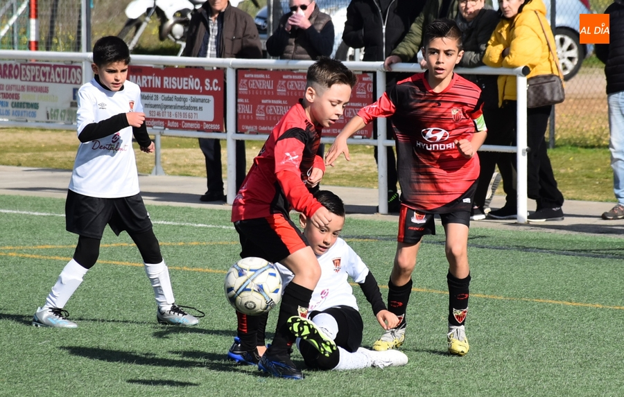 #M [17-18 FEB] El Benjamín del Ciudad Rodrigo se queda sin premio ante el Sporting Carbajosa