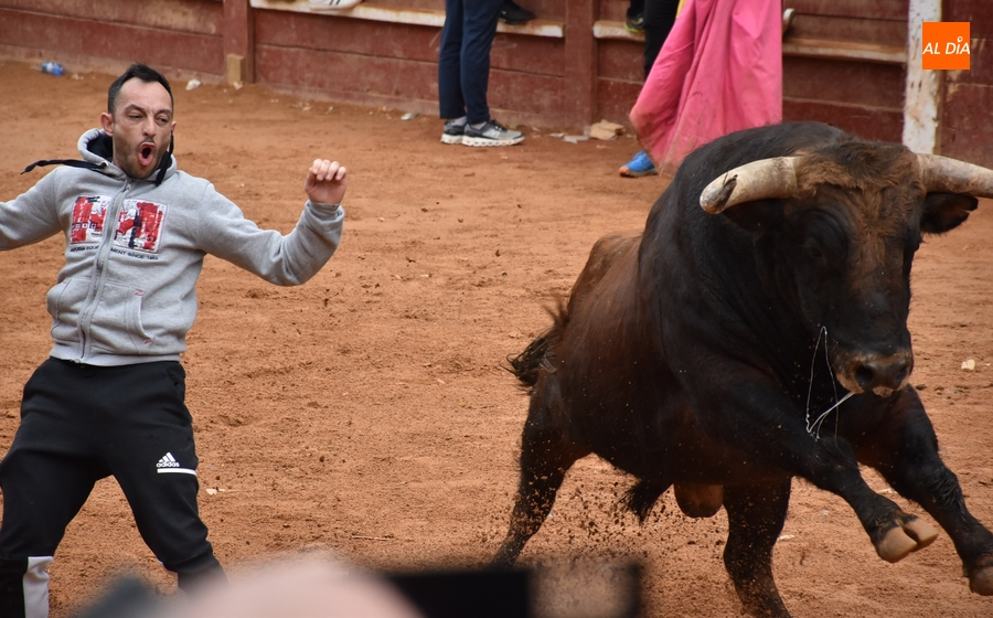 La imponente apariencia de los toros de Aldeanueva causa sensación en la capea matinal