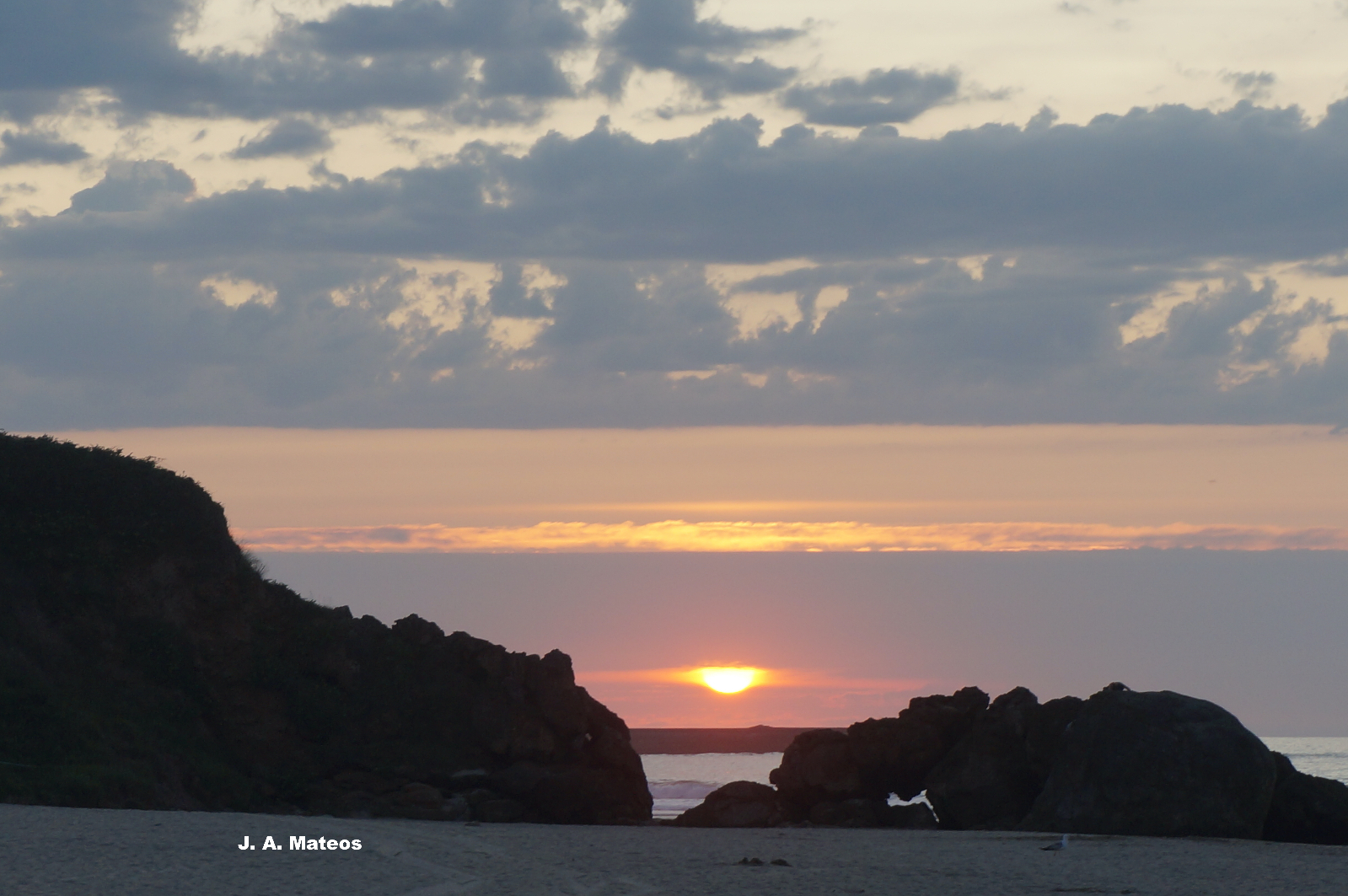 Camino hacia el sentido