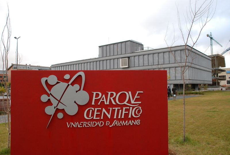 El municipio español donde más crece el empleo tecnológico está en Salamanca