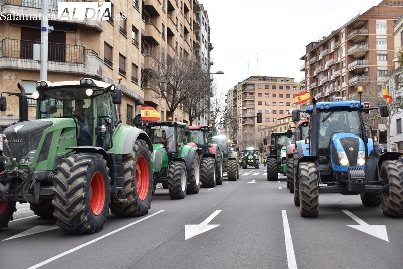 EN IMÁGENES:  Agricultores y ganaderos dicen basta y la tractorada recorre Salamanca 