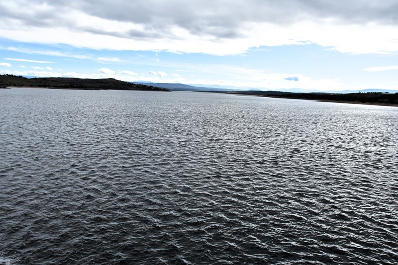 Al otro lado del frío