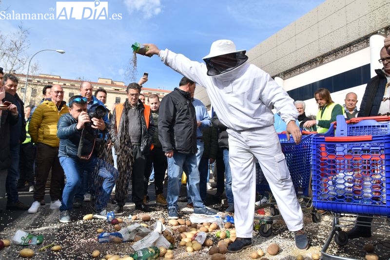 Los tractores vuelven a Salamanca para tomar la zona de Carrefour y tiran al suelo productos extranjeros 