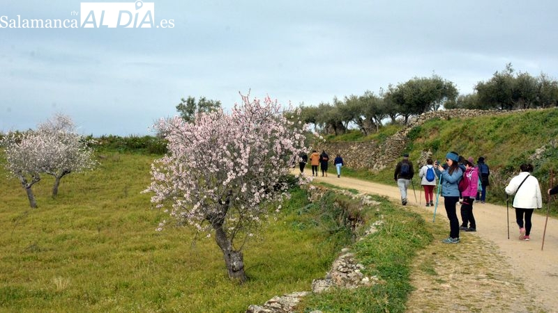 La Fregeneda invita este sábado a disfrutar de Los almendros en flor en su marcha senderista