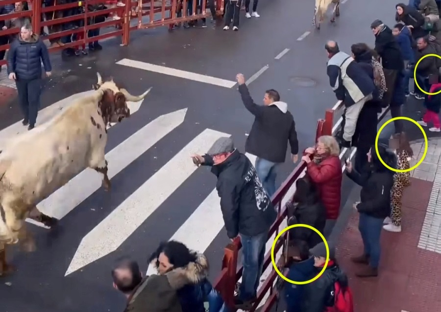 Una Fundación critica la asistencia de menores a los espectáculos taurinos del Carnaval