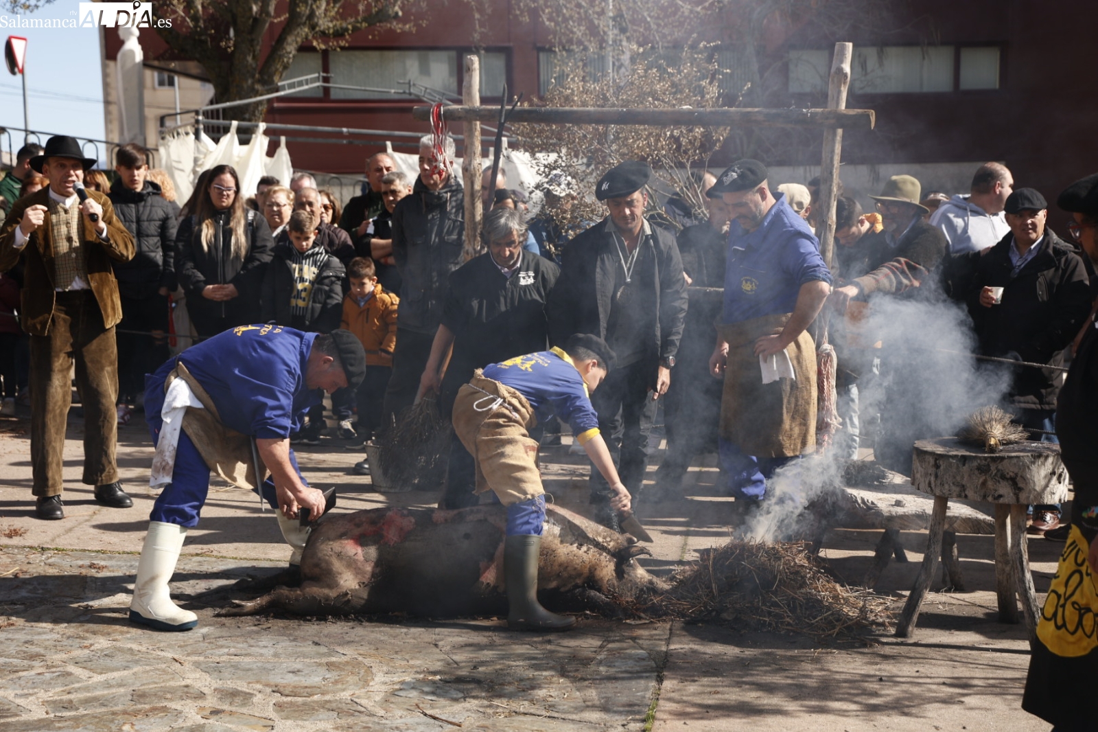 Sol y alta participación en la matanza típica de Guijuelo dedicada a los Arrieros