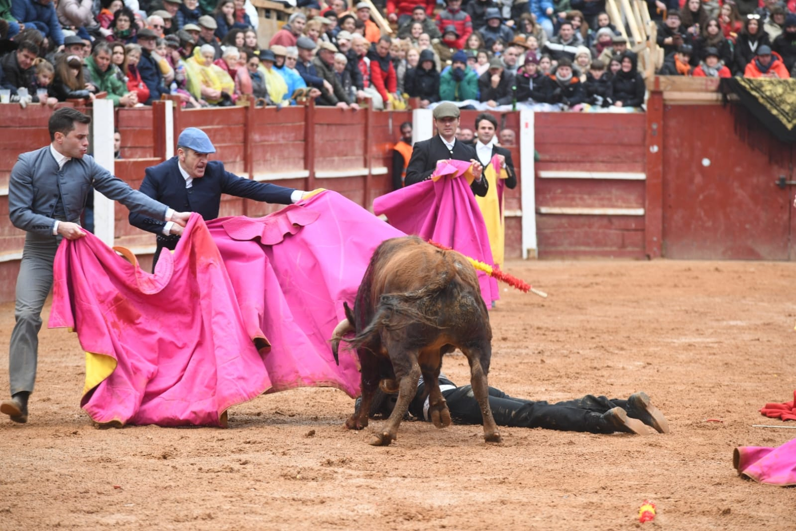 Heridos dos de los novilleros, uno por asta de toro, de la tarde bolsinista 
