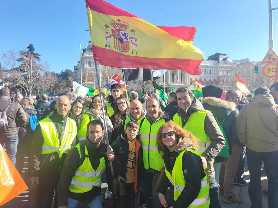 Ganaderos de la comarca mirobrigense participan en la gran tractorada de Madrid