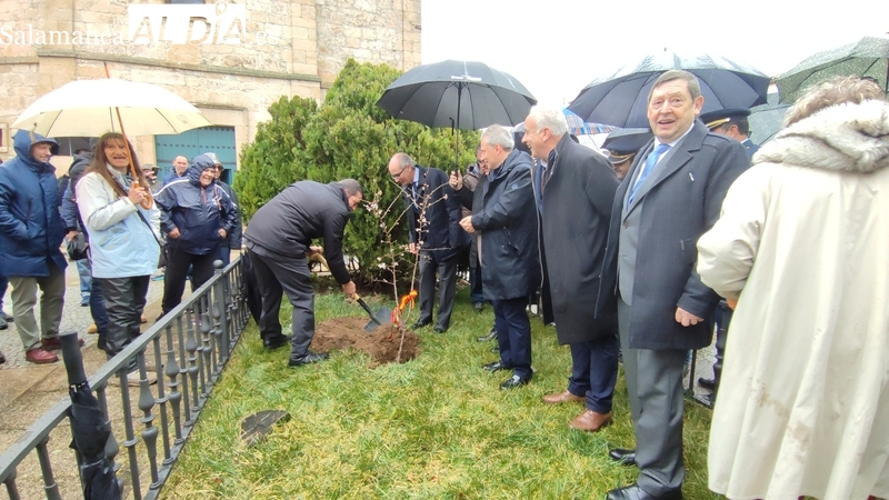La Fregeneda celebrará el domingo 3 de marzo el Día del Almendro