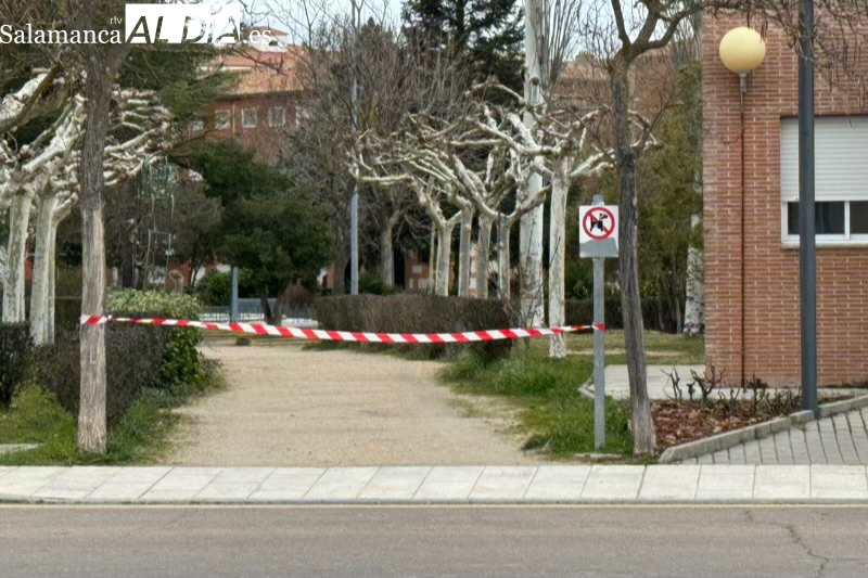 La borrasca Karlotta comienza a dejar sus efectos en Peñaranda