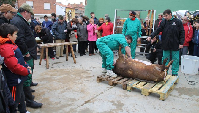 La séptima Matanza Tradicional de Macotera ya tiene fecha de celebración