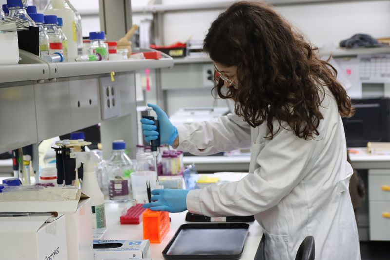 La USAL, en el top 15 de universidades españolas según el Ranking Web de Universidades