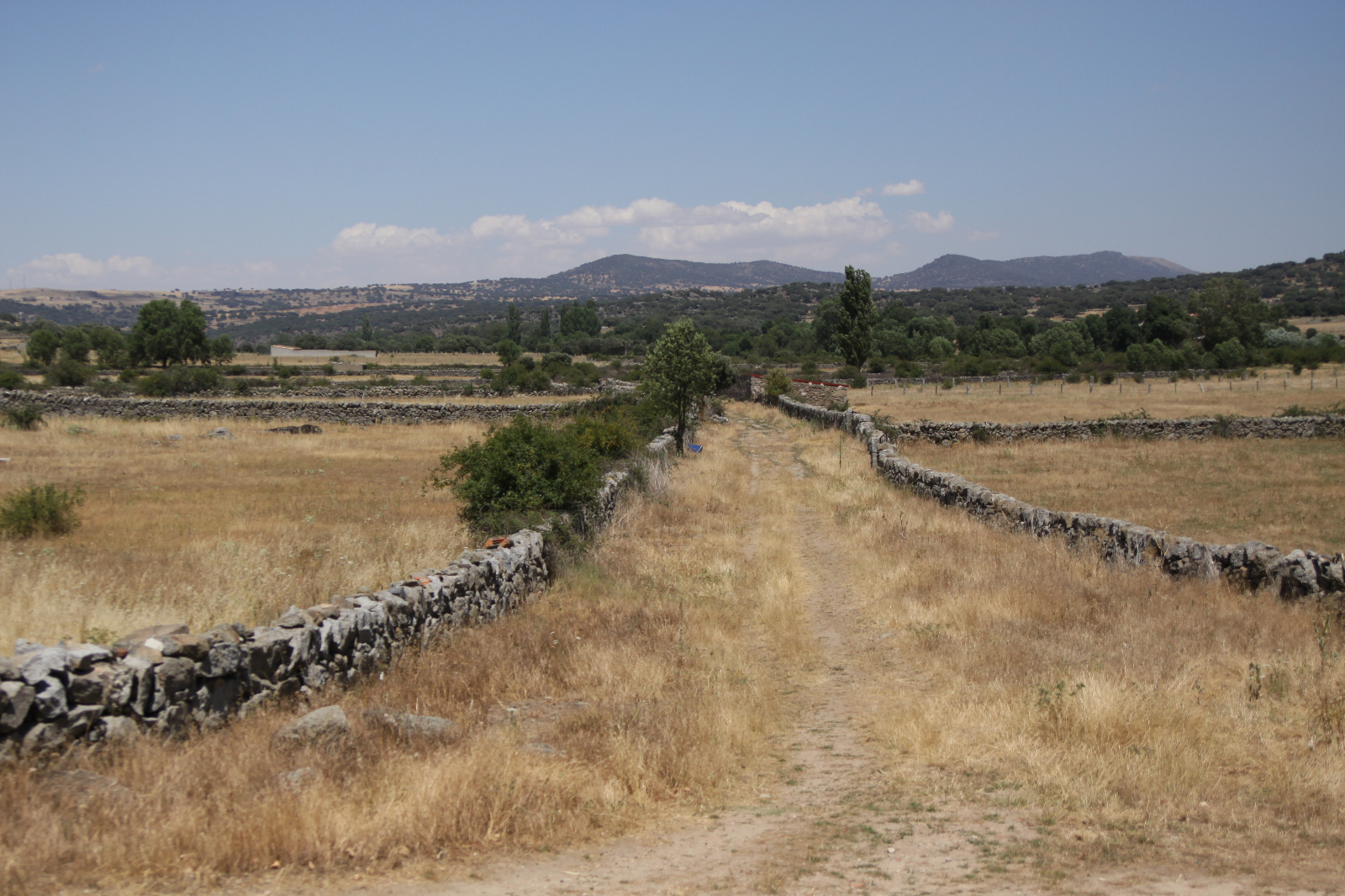 Las vías pecuarias como corredores ecologicos - 3
