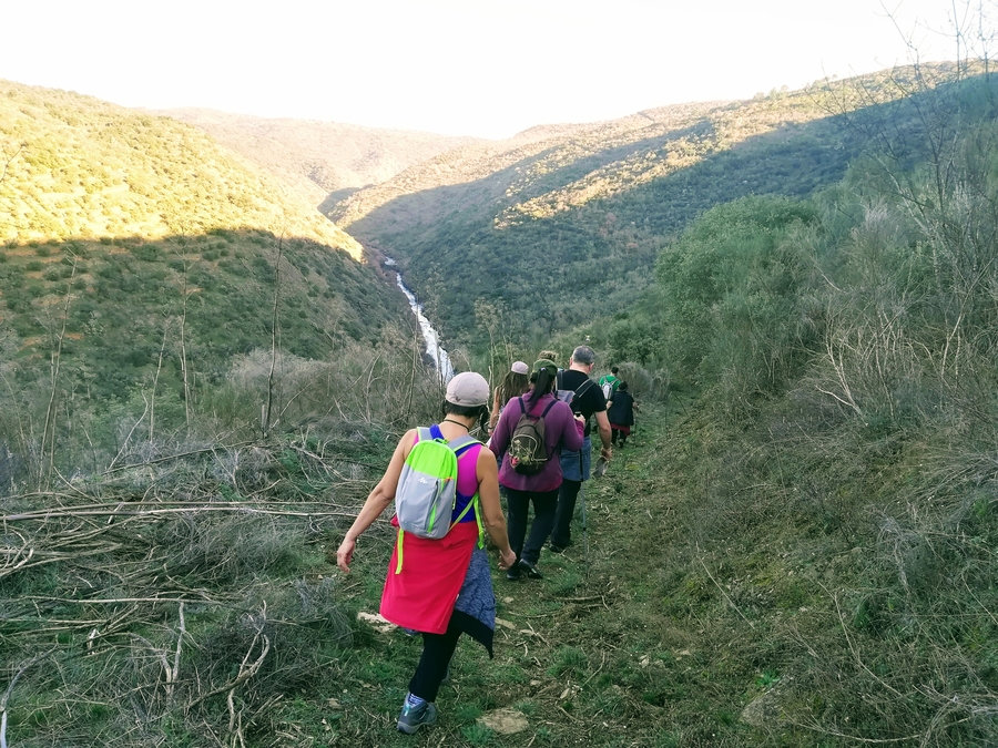 Convocada para el 2 de marzo en Puerto Seguro una jornada festiva con los almendros como eje 