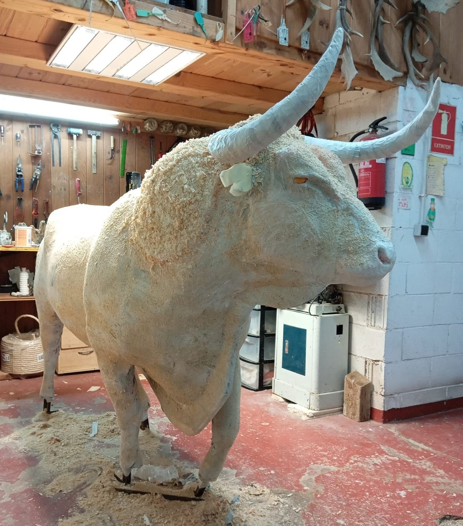 Cambia el formato del Pasacalles de Cenizos para evitar largas esperas