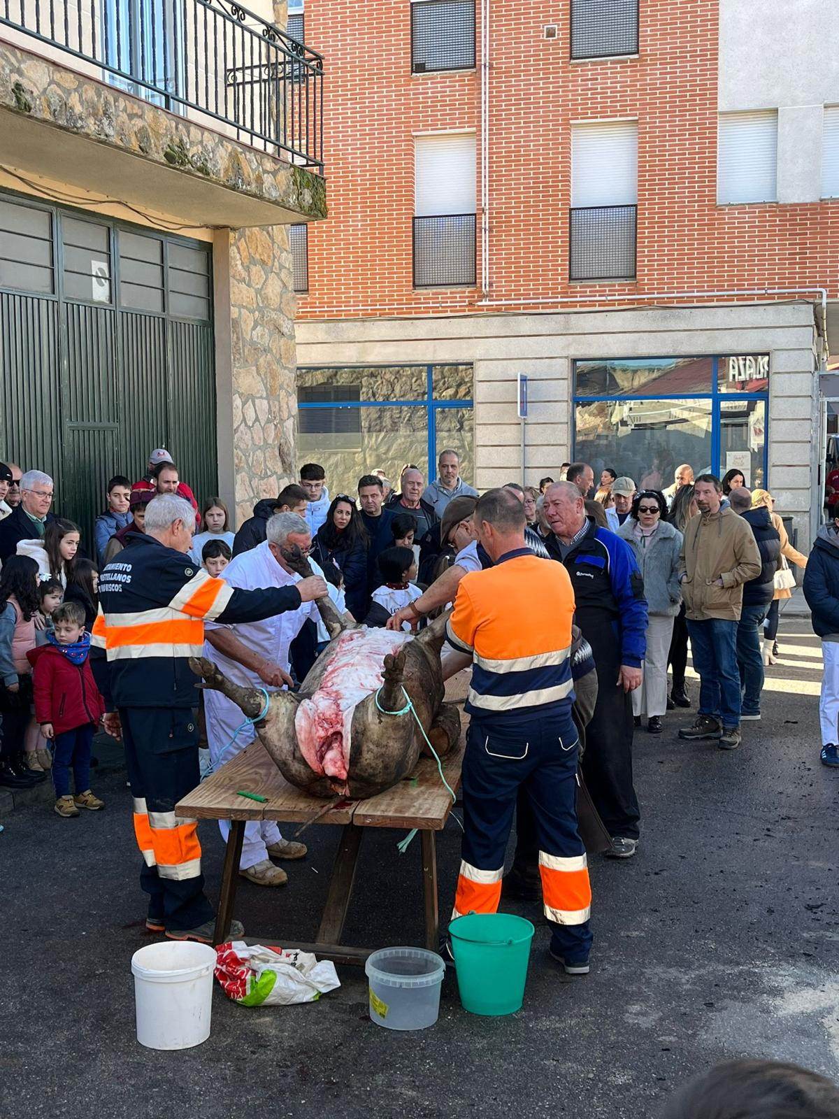 Castellanos de Moriscos celebra la Matanza Tradicional | FOTOS: Sofía Merino 