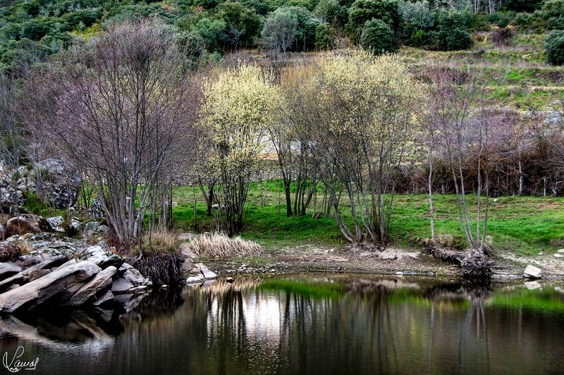 Descubre este sendero circular con espectaculares vistas a las sierras de Béjar y Francia 