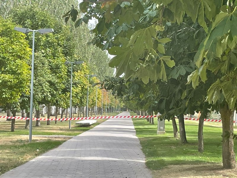 Estos son los parques y zonas arboladas que cerrarán este jueves por el fuerte viento