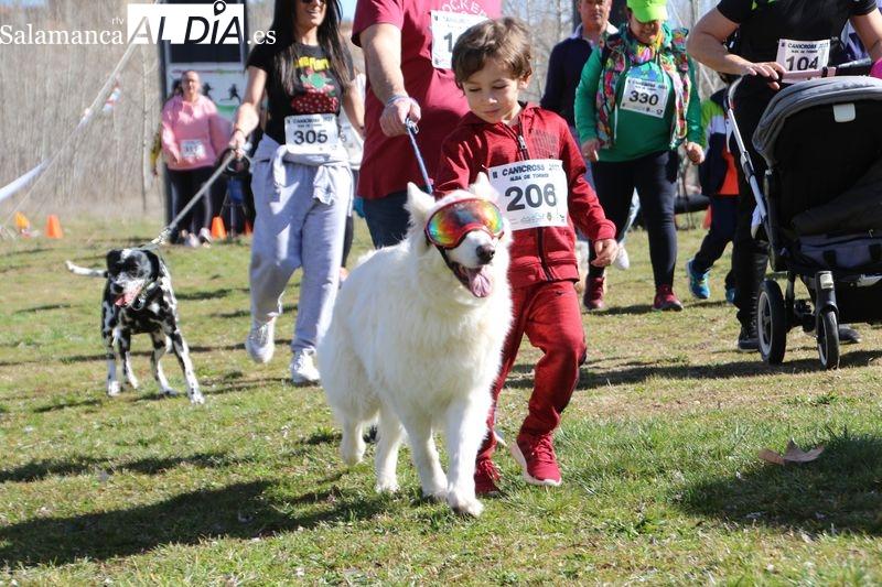 Abierto el plazo para ser voluntario deportivo en la Canicross del 17 de marzo