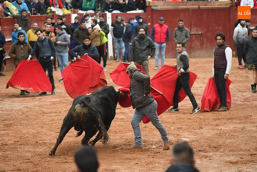 El coso se llena de capas en la tarde dominical gracias al buen juego de los toros