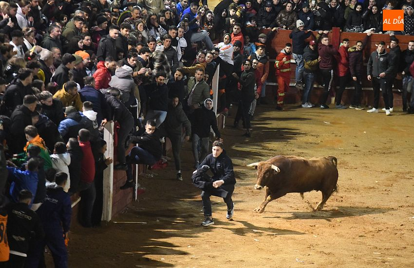 Nadador y Tirachinas se convierten en los primeros toros en salir a la plaza como BIC