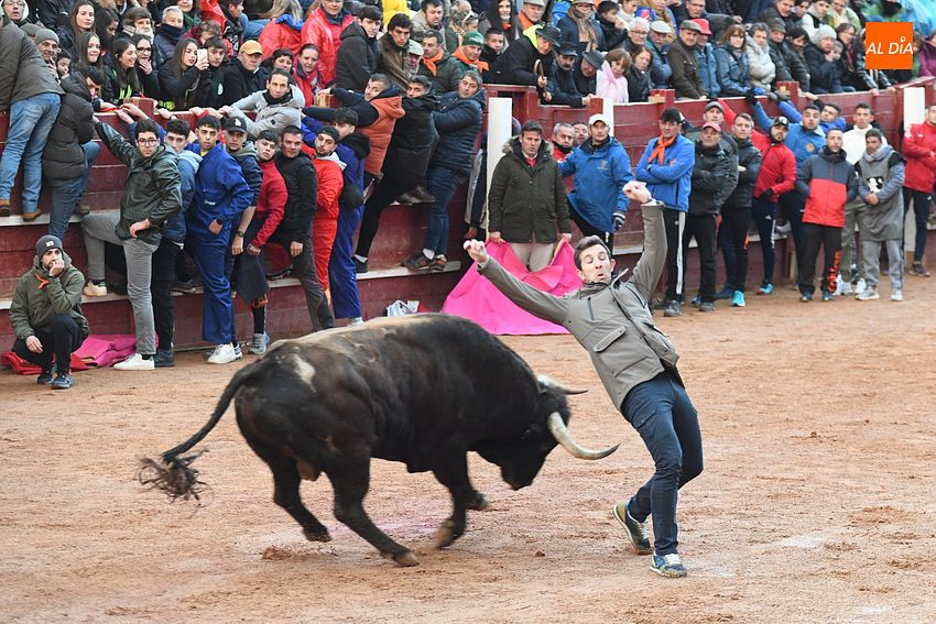 Carnaval/ Fotos: Adrián M.Pastor
