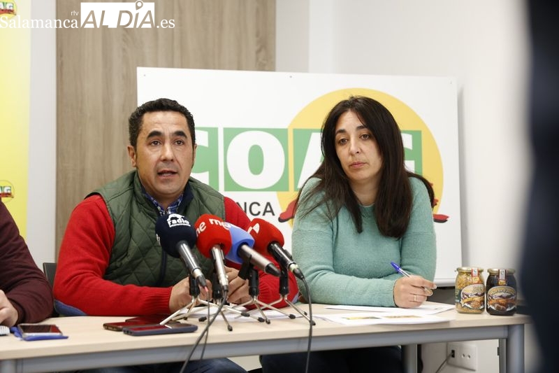 Los motivos por los que los apicultores piden la eliminación de la figura del veterinario de explotación 