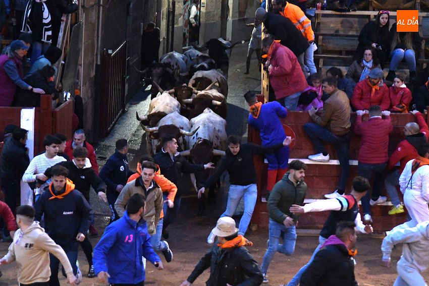 Carrera correcta y limpia de los bueyes de Luis Cebrián para aprenderse el recorrido