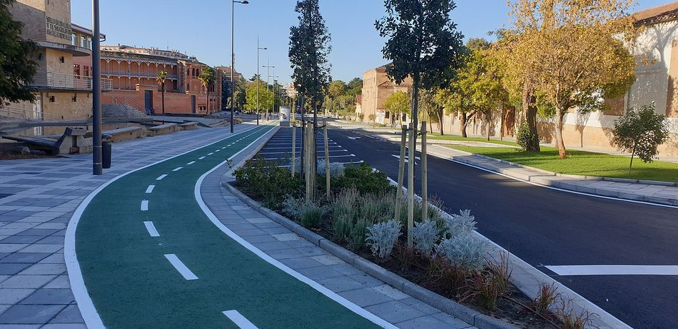 Más de medio centenar de arces y almendros reverdecen la avenida de la Merced