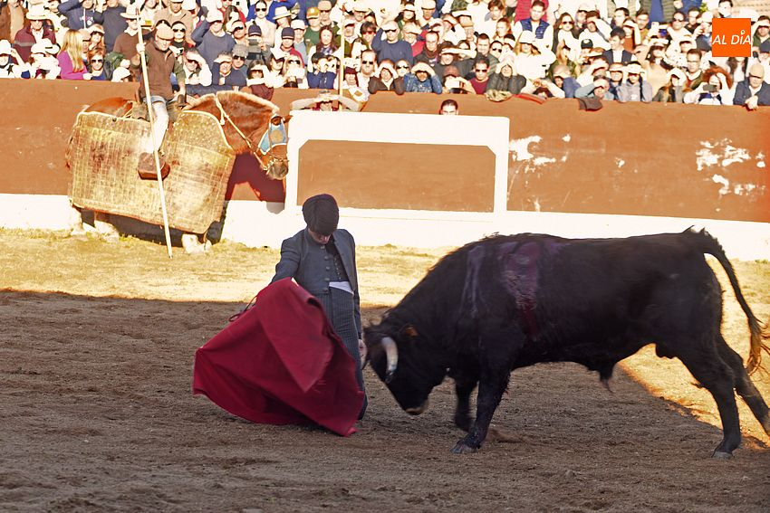 Desvelados los 5 jóvenes del Bolsín que matarán un novillo en Carnaval
