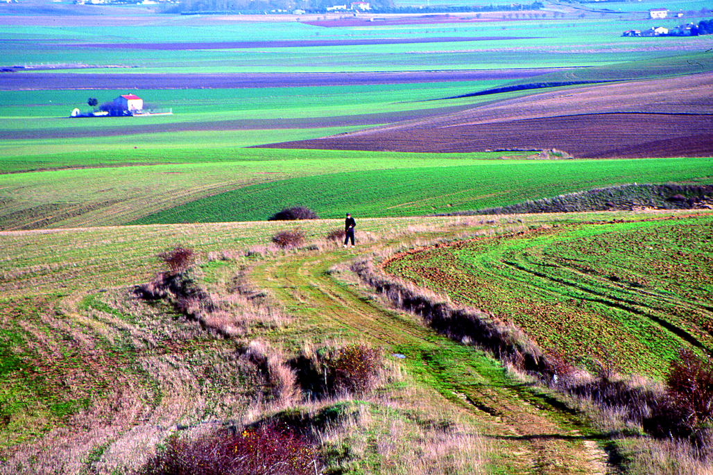 Las vías pecuarias como corredores ecologicos - 2 