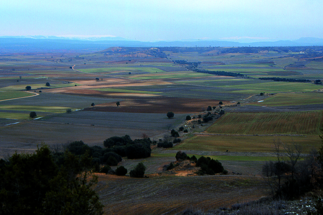 Las vías pecuarias como corredores ecogógicos - 1 