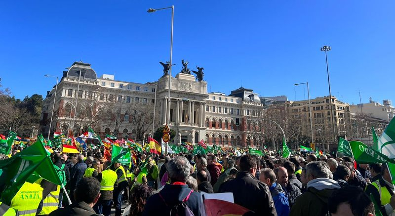 Cerca de 1.000 agricultores y ganaderos salmantinos se unen a la protesta del sector en Madrid 