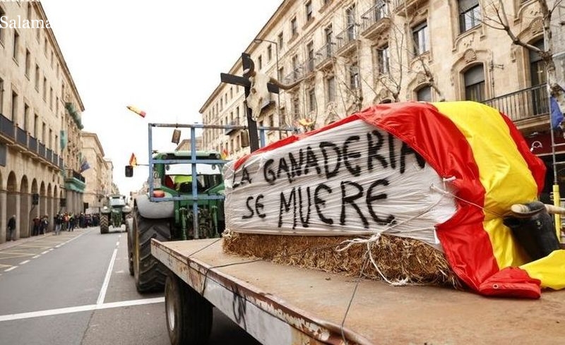 D.E.P. La ganadería se muere o Que no maten nuestras vacas, que las curen entre las frases del día