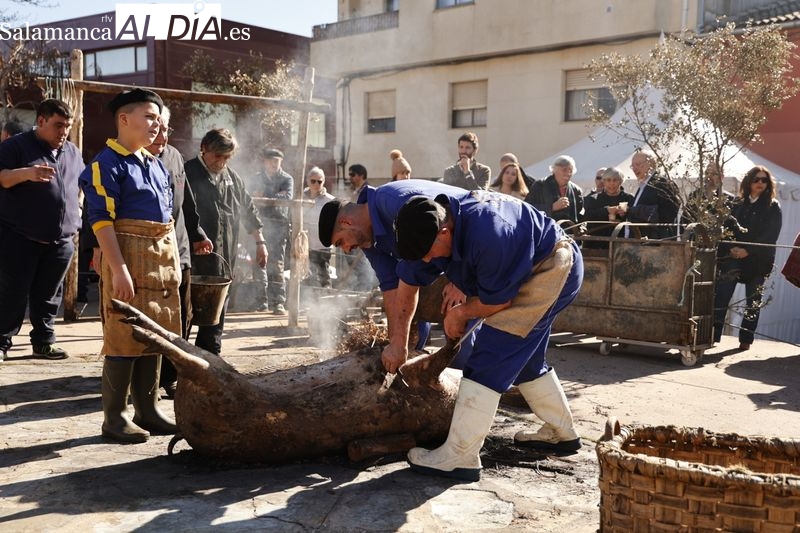 Guijuelo celebra su Matanza Típica: Ojalá sigamos potenciando nuestras costumbres 