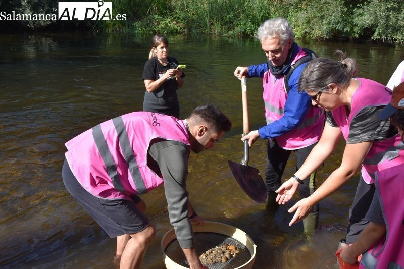 ¿Quieres ser voluntario en recogida de animales silvestres? Este curso gratuito es para ti 