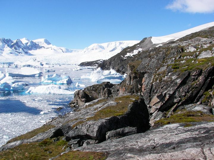 Una investigación salmantina profundiza en la diversidad de comunidades bacterianas en un ecosistema de la Antártida