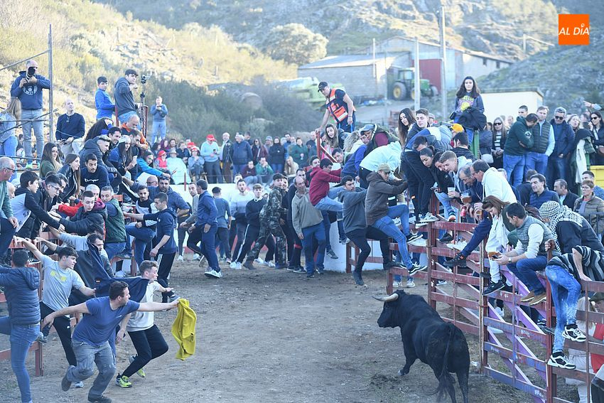toros serradilla del arroyo