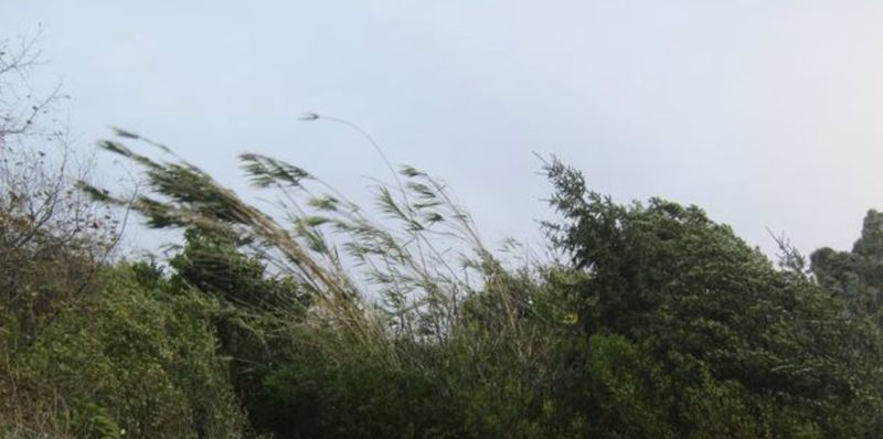 Gestionadas 25 emergencias por los fuertes vientos en Salamanca