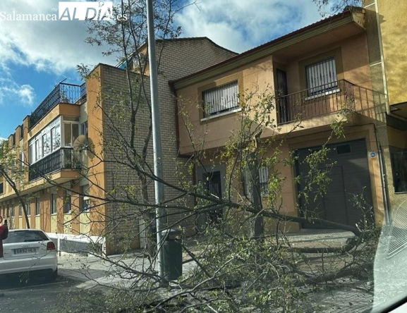 La borrasca Karlotta pone en alerta a Castilla y León por lluvias y fuertes rachas de viento