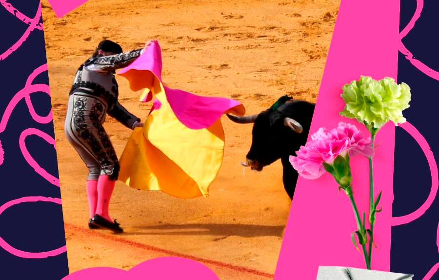 Gallegos de Argañán presentará el sábado el Festival Taurino de sus fiestas