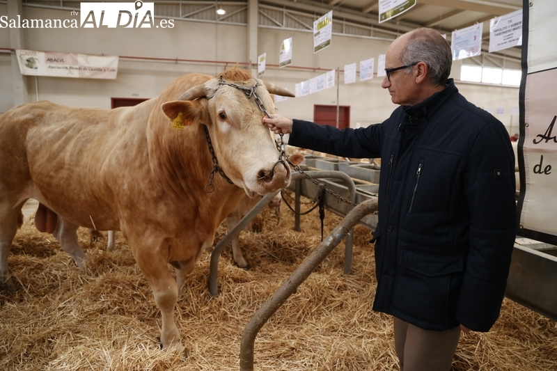 Iglesias reivindica a la ganadería como protectora del medio ambiente en el Salón del Vacuno