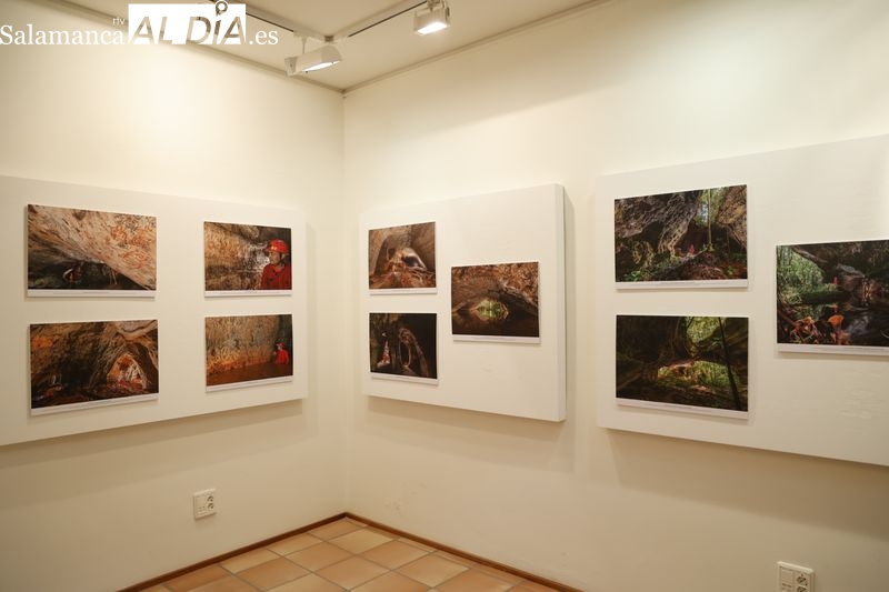 Amazonia invisible, la nueva exposición que hace viajar hasta Brasil 