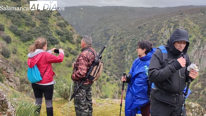 Cerca de 150 senderistas desafían al mal tiempo en Sobradillo