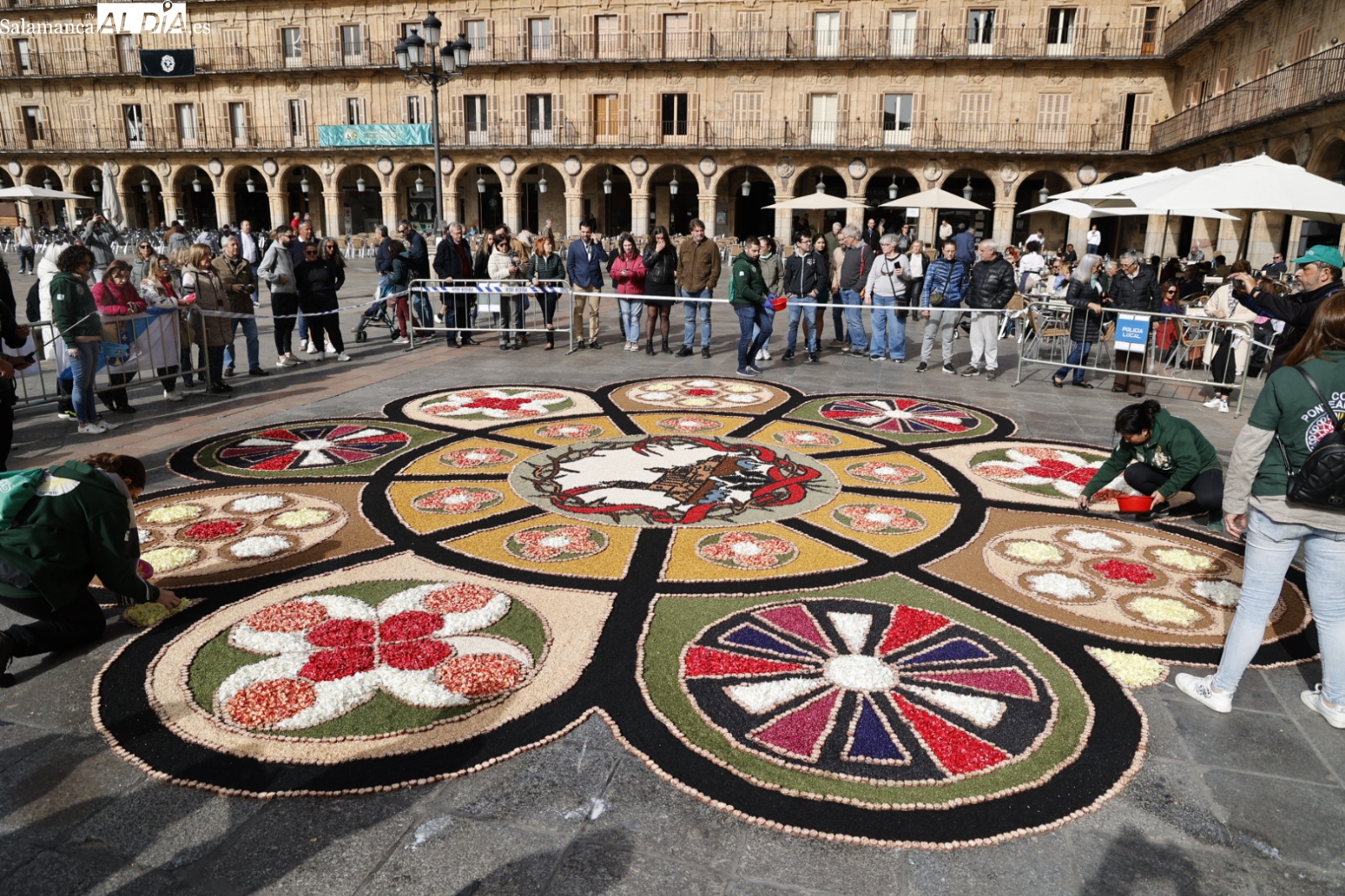 Así de espectacular luce la alfombra de flores en la Plaza Mayor