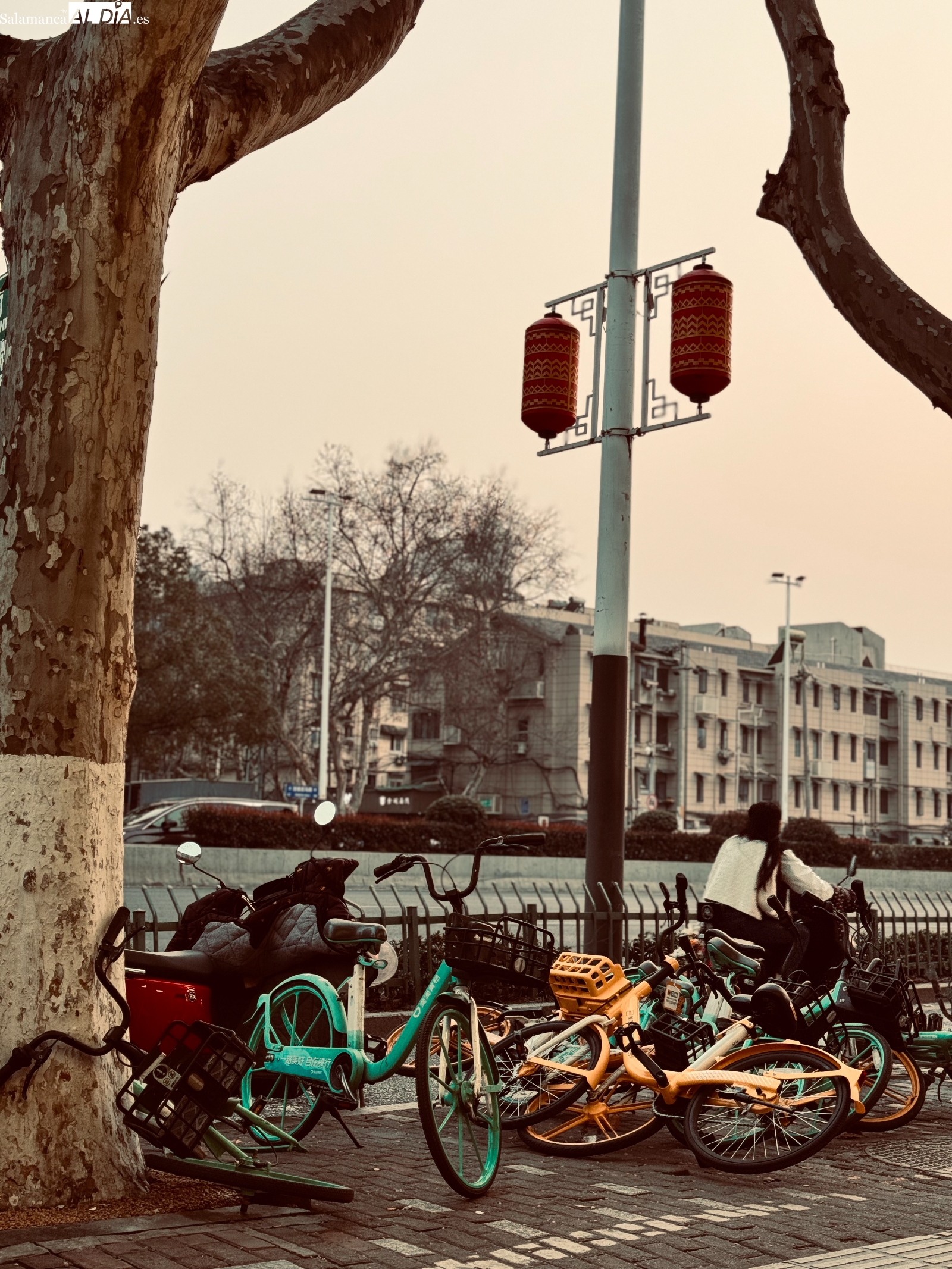 El equilibrio, el movimiento