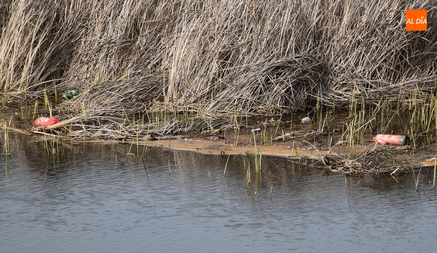 1Foto: Ahí no van a hacer mucha falta